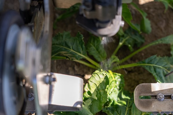 FarmDroid spray nozzle, spot-application